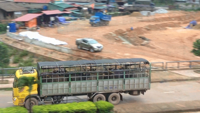 Trong ng&agrave;y 27/7 c&oacute; khoảng 15 chiếc xe chở tr&acirc;u b&ograve; như vậy qua cửa khẩu.