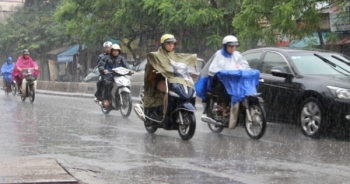 Đổ bệnh do nhiễm “hơi đất” sau mưa