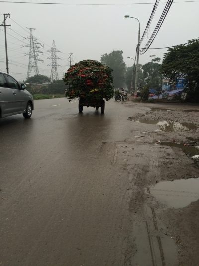 Người d&acirc;n đã quá quen thuộc với hình ảnh những chi&ecirc;́c xe ngựa chở đ&acirc;̀y vòng hoa đi từ khu vực nghĩa trang ra đường qu&ocirc;́c lộ.