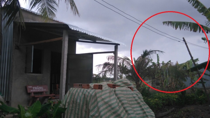 Hệ thống d&acirc;y điện tạm bợ, mất an to&agrave;n khi sử dụng.