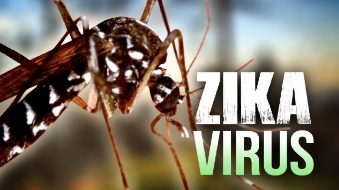 Hiện Mỹ đang tiến h&agrave;nh thử nghiệm vacxin ph&ograve;ng chống Zika tr&ecirc;n người. Ảnh minh họa