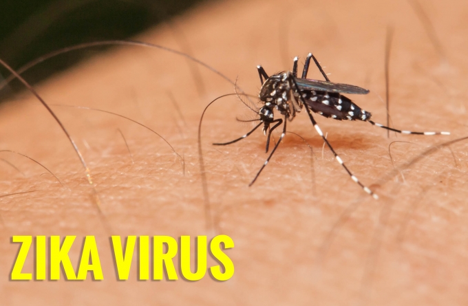 Theo Bộ Y tế, chủng virus Zika tại Việt Nam kh&ocirc;ng l&acirc;y lan nhanh như nhiều nước tr&ecirc;n thế giới. Ảnh minh họa