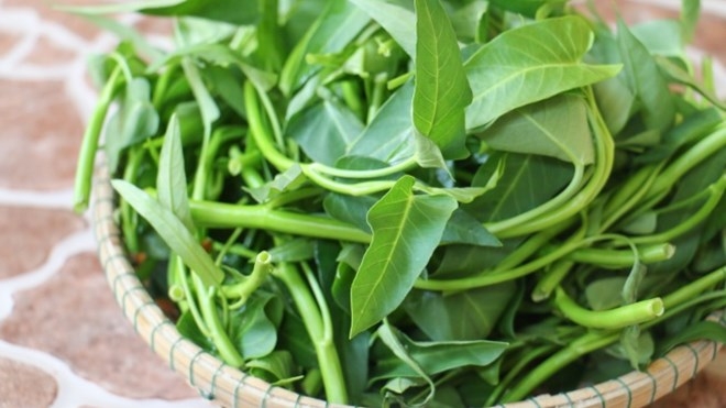 Rau muống l&agrave; loại rau dẫn đầu trong nh&oacute;m rau ăn l&aacute; c&oacute; nguy cơ g&acirc;y ngộ độc thực phẩm cao, chứa rất nhiều thuốc k&iacute;ch th&iacute;ch, thuốc trừ s&acirc;u.