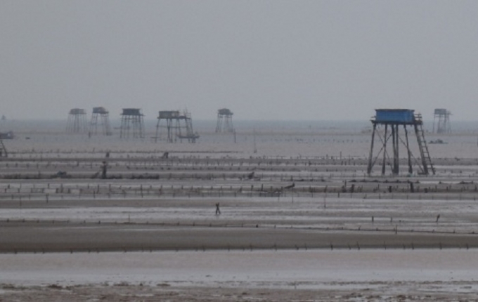 Trong l&uacute;c đang đi c&agrave;o ngao kiếm sống, một phụ nữ tại Thanh H&oacute;a bị s&eacute;t đ&aacute;nh tử vong.