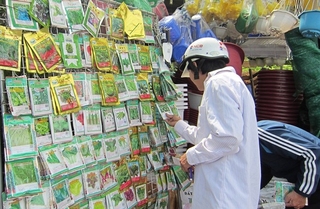 Người mua đang lựa chọn hạt giống về tự trồng. Ảnh:&nbsp;Th&aacute;i Nguyễn
