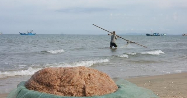 Quảng Bình công bố ruốc biển an toàn