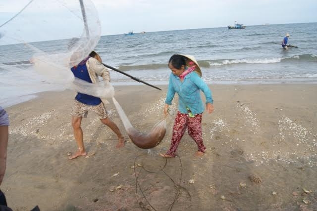 Từ đầu m&ugrave;a đến nay, ngư d&acirc;n huyện Quảng Trạch đ&atilde; đ&aacute;nh bắt đươc gần 50 tấn ruốc biển.
