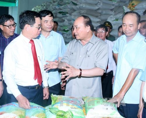 Thủ tướng Nguyễn Xu&acirc;n Ph&uacute;c khảo s&aacute;t thực tế m&ocirc; h&igrave;nh t&aacute;i cơ cấu ng&agrave;nh n&ocirc;ng nghiệp tại Tổng C&ocirc;ng ty giống c&acirc;y trồng Th&aacute;i B&igrave;nh tại th&agrave;nh phố Th&aacute;i B&igrave;nh. Ảnh: Thống Nhất/TTXVN.