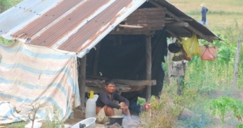 Báo động đỏ tình hình SXH ở Tây Nguyên: Phó Thủ tướng giao trách nhiệm cho địa phương