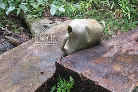 Can xăng rải r&aacute;c ở những điểm xẻ gỗ