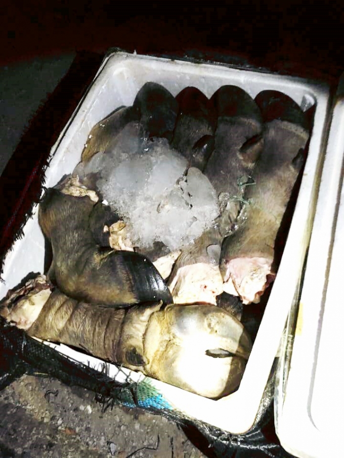 H&agrave;ng trăm kg ch&acirc;n tr&acirc;u bốc m&ugrave;i h&ocirc;i thối bị thu giữ.