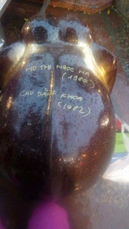 Đại gia Chu Đăng Khoa sang Th&aacute;i cầu h&ocirc;n Hồ Ngọc H&agrave; hay chỉ đi cầu may?