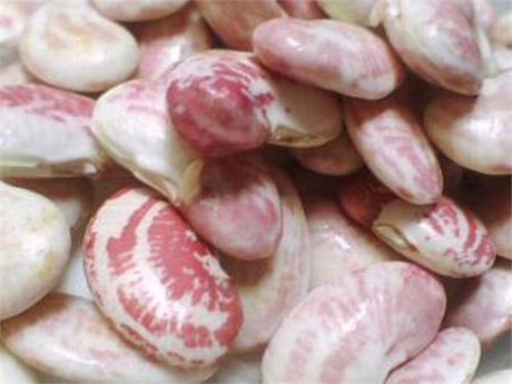 Đậu ngựa: l&agrave; nguồn protein tuyệt vời, gi&agrave;u axit folic, chất xơ nhưng lại chứa chất độc limarin c&oacute; thể g&acirc;y buồn n&ocirc;n, đau bụng. Để tr&aacute;nh bị nhiễm độc, bạn n&ecirc;n nấu đậu &iacute;t nhất 10 ph&uacute;t trước khi ăn hoặc sử dụng đậu đ&oacute;ng hộp để được an to&agrave;n.