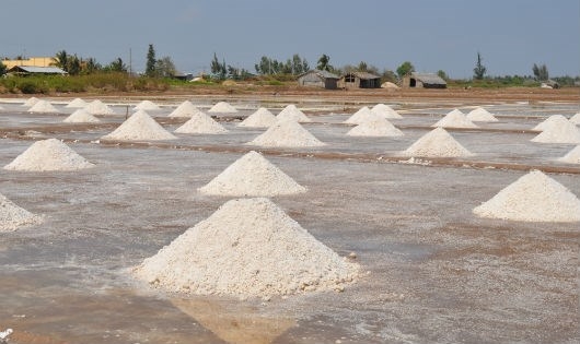 H&agrave;ng năm, sản lượng muối thương phẩm Bạc Li&ecirc;u cung ứng ra thị trường l&ecirc;n tới tr&ecirc;n dưới 250 ng&agrave;n tấn.