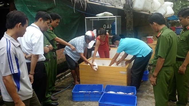 Gần 1 tấn c&aacute; chết được mua về chứa trong 13 th&ugrave;ng đ&aacute;, tại qu&aacute;n cơm Gia Long. Ảnh: C&ocirc;ng an cung cấp