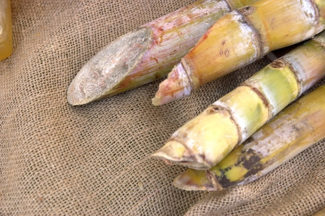 Những thực phẩm tự n&oacute; đ&atilde; c&oacute; độc bạn phải biết đường m&agrave; tr&aacute;nh xa