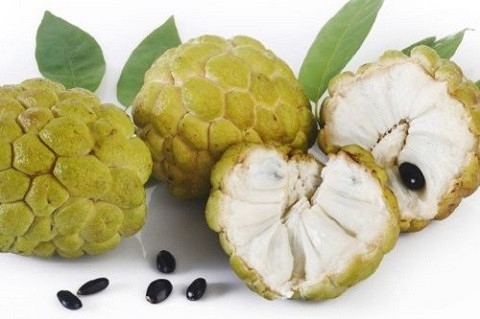 Ăn na ch&iacute;n nửa chừng c&oacute; thể g&acirc;y t&aacute;o b&oacute;n