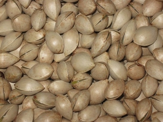 Ăn sống bạch quả sẽ g&acirc;y nguy hiểm cho sức khỏe của người d&ugrave;ng.