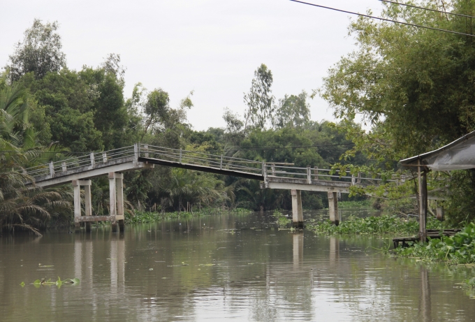 C&acirc;y cầu cũ đ&atilde; xuống cấp nghi&ecirc;m trọng, trụ cầu bị l&uacute;n xuống hơn 1,5m so với trụ cầu c&ograve;n lại.