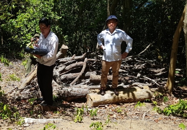 &Ocirc;ng Mạnh khẳng định trong qu&aacute; tr&igrave;nh dọn dẹp &ocirc;ng đ&atilde; cho cắt kh&uacute;c v&agrave; xếp gọn ng&agrave;ng b&ecirc;n cạnh. Tất cả c&aacute;c kh&uacute;c gỗ đều c&ograve;n nguy&ecirc;n ở tại hiện trường, c&aacute;c đo&agrave;n kiểm tra cũng đ&atilde; đo đếm, chứ t&ocirc;i chưa hề vận chuyển một kh&uacute;c gỗ, thậm tr&iacute; l&agrave; một mẩu gỗ nhỏ n&agrave;o ra khỏi rừng.