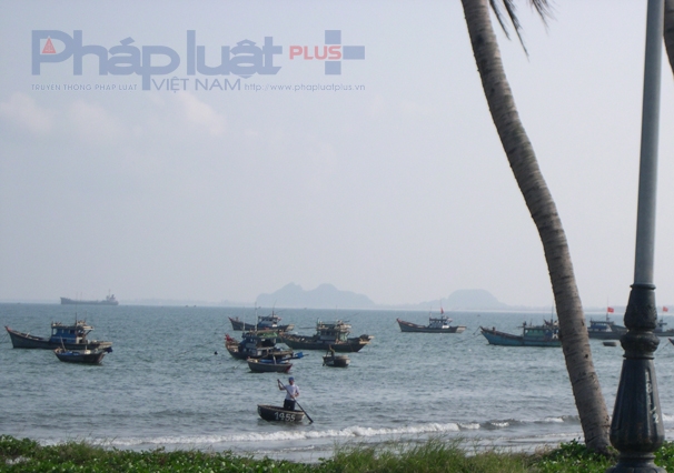 Khu vực 6 huyện thị ven biển Thanh H&oacute;a, đ&atilde; huy động tr&ecirc;n 7 ng&agrave;n phương tiện t&agrave;u thuyền cập bến, tr&aacute;nh tr&uacute; b&atilde;o an to&agrave;n. (Ảnh: A.T)