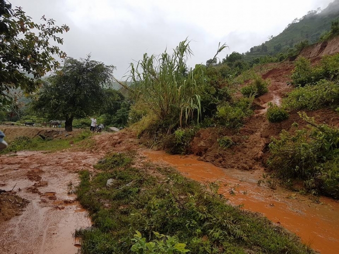 Tại huyện Bắc H&agrave; nhiều tuyến đường ở x&atilde; cũng bị che lấp.