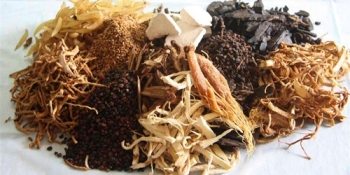 Kiên Giang: Dấu hiệu bất thường trong hồ sơ đưa dược liệu vào bệnh viện