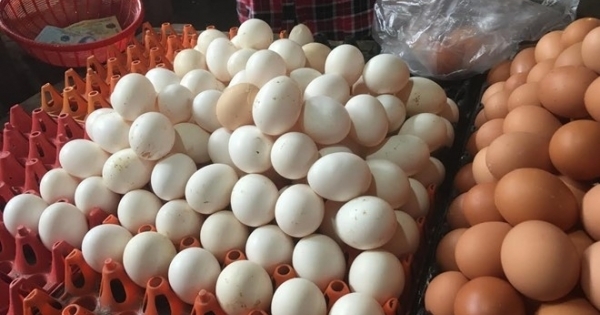 Bí ẩn nguồn gốc trứng gà ta giá rẻ bán đầy chợ
