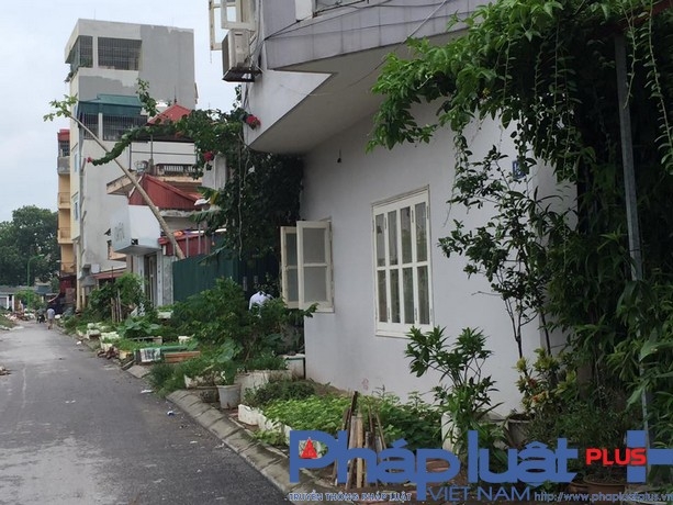 Vỉa h&egrave; biến th&agrave;nh nơi trồng rau sạch