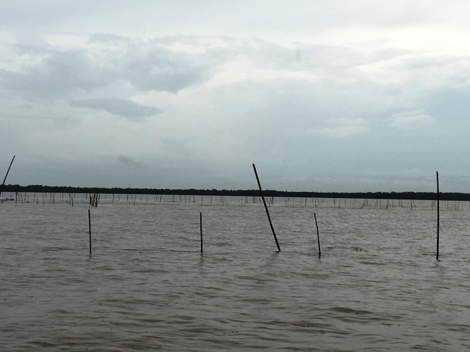 Khu&nbsp;vực nu&ocirc;i huyết giống của người d&acirc;n bị nh&oacute;m người v&agrave;o cướp.