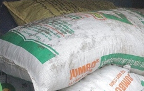 Thanh Hoá: Tiêu hủy hơn 1 tạ bì lợn thối