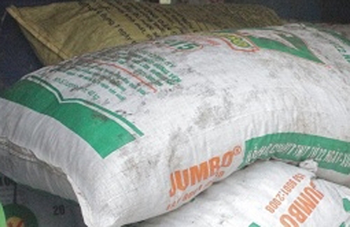 Hơn 1 tạ b&igrave; lợn thối xu&yacute;t được chế biến th&agrave;nh thực phẩm để tung ra thị trường.