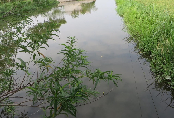 Vị tr&iacute; nơi hai ch&aacute;u Hưng v&agrave; Hải bị đuối nước tử vong. (Ảnh: Trần Thất).