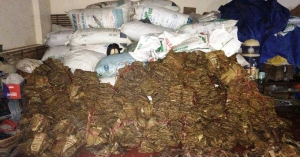 Thu giữ 2,6 tấn măng khô tẩm Lưu huỳnh