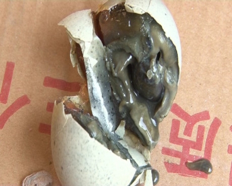 700 quả trứng bị thối đang vận chuyển v&agrave;o Việt Nam để ti&ecirc;u thụ.