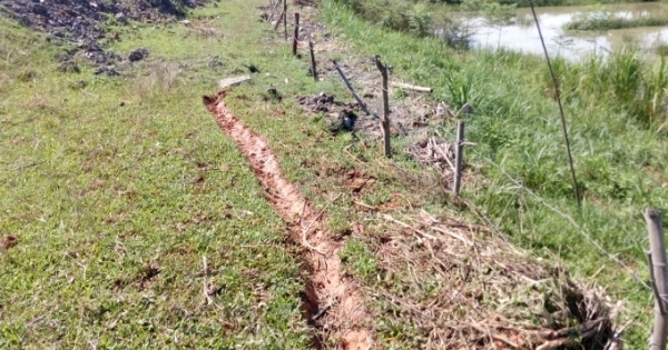 Thanh Hóa: Tuyến đê nứt nghiêm trọng, dễ gây nguy hiểm cho người dân