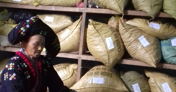 Mẹ Lầu: “Vua chữa vô sinh hiếm muộn” tại Mường Lát - Thanh Hóa