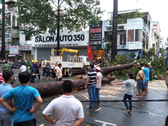 Vụ việc khiến nam thanh ni&ecirc;n bất tỉnh v&igrave; bị c&acirc;y đ&egrave; tr&uacute;ng