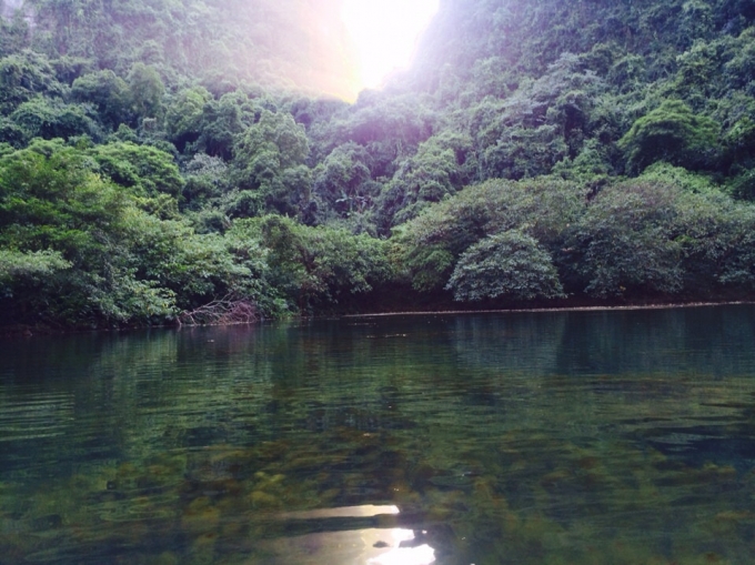 To&agrave;n bộ khu du lịch sinh th&aacute;i đều được phủ bằng một m&agrave;u xanh dịu m&aacute;t.