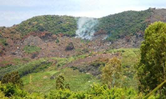 Nhiều diện t&iacute;ch rừng, đất l&acirc;m nghiệp tại khoảnh 3, tiểu khu 181A, x&atilde; Mỹ Ch&aacute;nh bị c&aacute;c đối tượng lấn chiếm, x&acirc;m hại v&agrave; đang xử l&yacute; thực b&igrave;