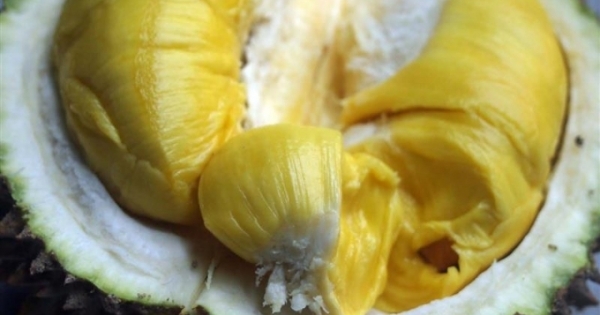 Ăn sầu riêng sai cách khiến cơ thể “nổi nóng”