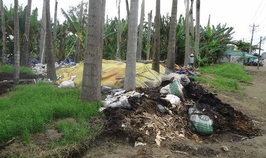 Cần Thơ: Công ty bột mì xử lý rác theo kiểu “trá hình”