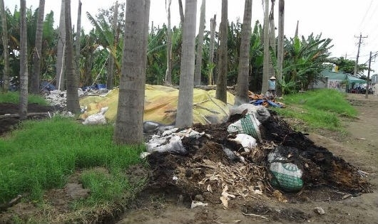 Cần Thơ: Công ty bột mì xử lý rác theo kiểu “trá hình”