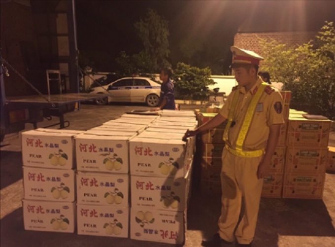 To&agrave;n bộ hơn 7 tấn hoa quả kh&ocirc;ng r&otilde; nguồn gốc bị thu giữ.