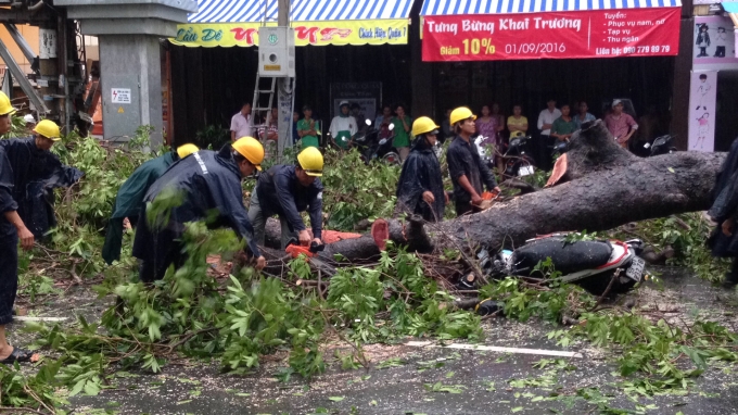 Nh&acirc;n vi&ecirc;n c&acirc;y xanh tiến h&agrave;nh giải quyết hiện trường