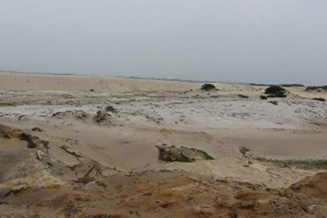 Đồng thời dự &aacute;n cần được xem x&eacute;t thận trọng một c&aacute;ch to&agrave;n diện.