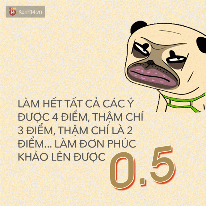 L&ecirc;n 0,5 điểm đ&atilde; l&agrave; may, c&oacute; bạn sau khi ph&uacute;c khảo xong c&ograve;n bị hạ điểm nữa cơ.