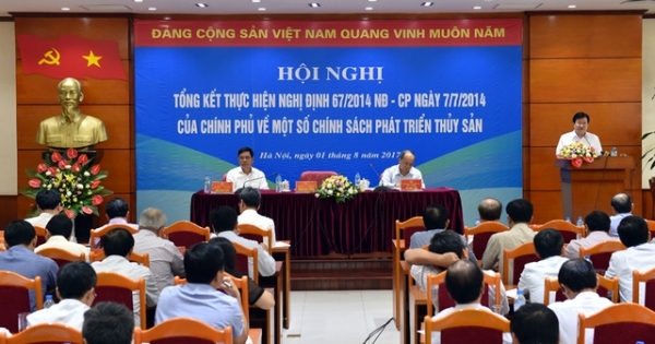 Phó Thủ tướng quy trách nhiệm việc "gian lận" đóng tàu vỏ thép