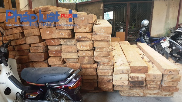 Vĩnh Ph&uacute;c: Phạt 120 triệu, tịch thu phương tiện vận chuyển 121 tấm gỗ Pơ mu kh&ocirc;ng r&otilde; nguồn gốc