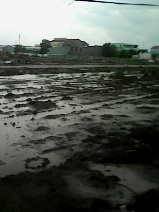 Dự &aacute;n của Cty T&agrave;i Lộc nay được Cty Phước Vinh x&acirc;y dựng mặc dầu chưa giải quyết xong khiếu nại.